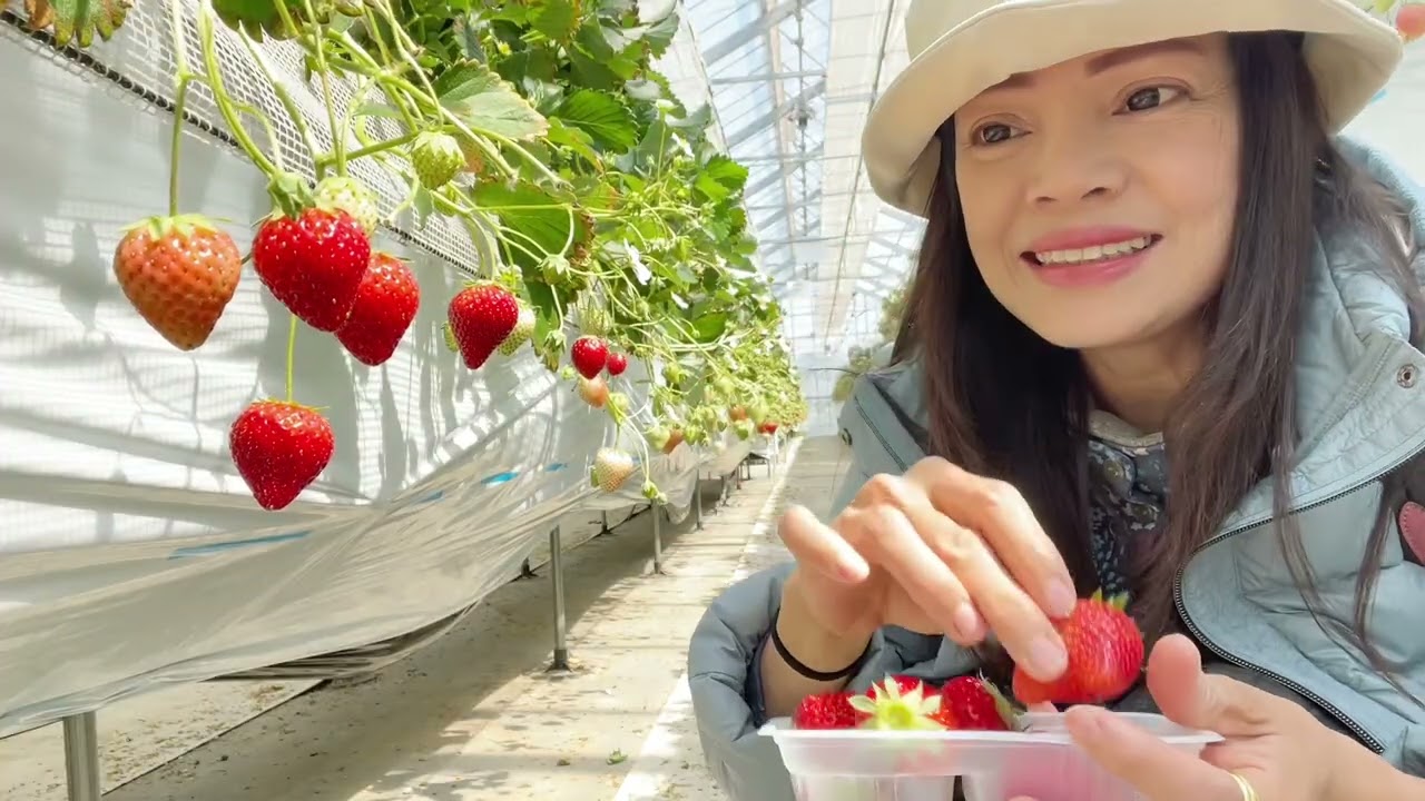 เข้าสวนกินหลายสายพันธุ์#ep10 2025/4/5