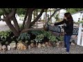 Planting a Hosta Garden! 😍💚// Garden Answer