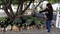 Garden Answer 