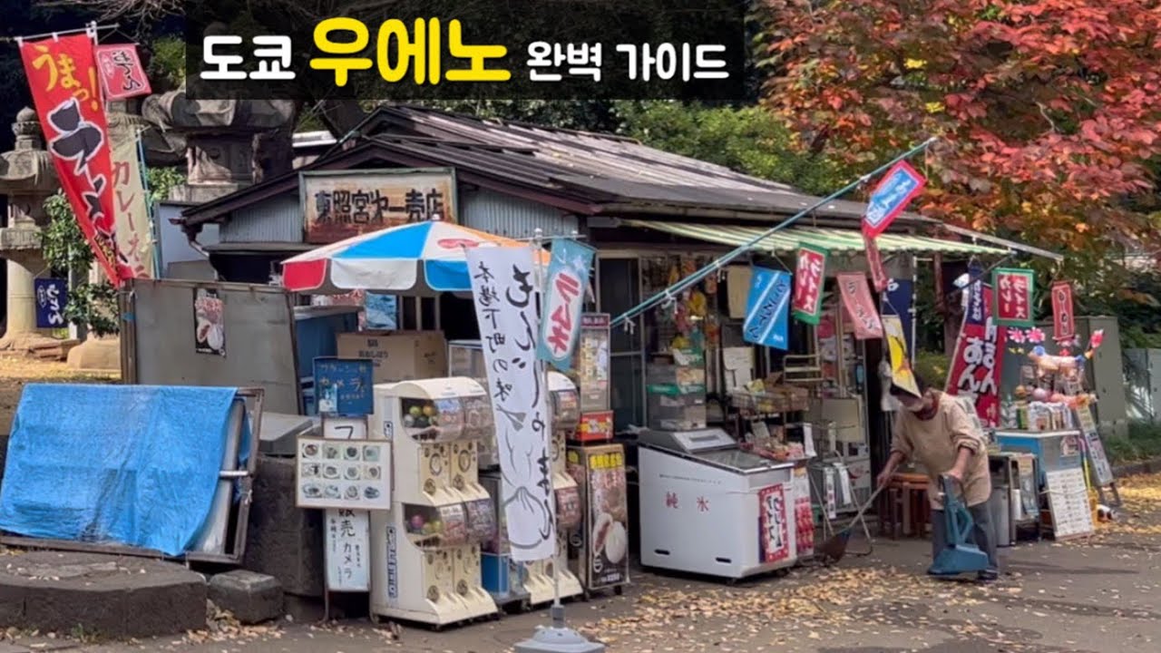 우에노 이 영상 하나로 끝! 가이드 총정리(관광, 맛집, 이자카야)ㅣ도쿄 여행ㅣ일본 브이로그ㅣ上野ガイド(観光、グルメ、居酒屋)