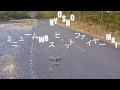 超初心者が安いラジコン飛行機を飛ばした結果