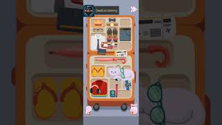 Perfect Tidy Level 12 Bag Packing. Walkthrough Gameplay
