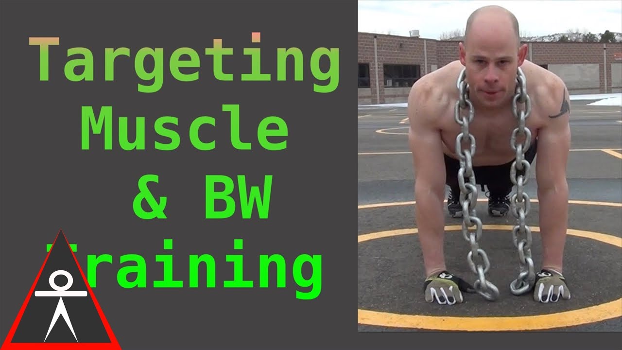 calisthenics workout program for beginners Targeting Specific Muscles W/ Body Weight Training