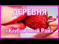 ЖИЗНЬ В ГЕРМАНИИ. КЛУБНИЧНАЯ ДЕРЕВНЯ &quot;КЛУБНИЧНЫЙ РАЙ&quot;. Полёт дрона =ROSMAIT PRESENTS=