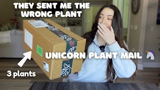 🦄 UNICORN 🦄 RARE PLANT Unboxing | The Rare Plant Fairy