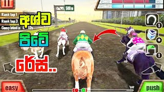 අශ්වයා එක්ක රේස් පදිමු | Horse Racing 3d | Sinhala | Gameplay...      #horse #gameplay screenshot 5