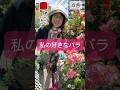 私の好きなバラ　#相原バラ園 #バラ栽培 #short