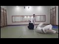 Aikido yoshinkan ukraine