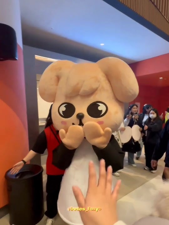 #STRAYKIDS ᥫ᭡ skz fan meeting ❎️skzoo fan meeting ✅️[#straykids #skz #skzedit #skzoo#fypシviral#stay]