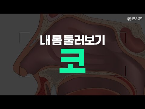 코 [내 몸 둘러보기]