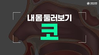 코 [내 몸 둘러보기]