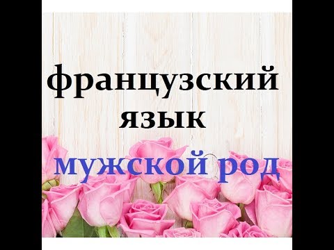 Французский язык. Суффиксы мужского рода существительных