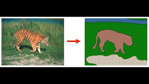 Image Processing CSE 2020 (in Arabic) | What is Segmentation ?