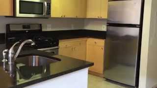 The Reserve at Clarendon Centre Apartments - Arlington, VA - Studio A2