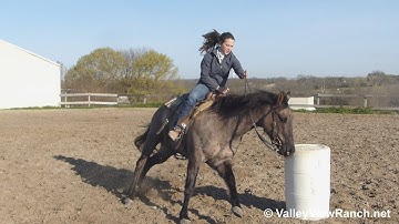 PJS Dusty Zan King - running the barrels! - ValleyViewRanch.net
