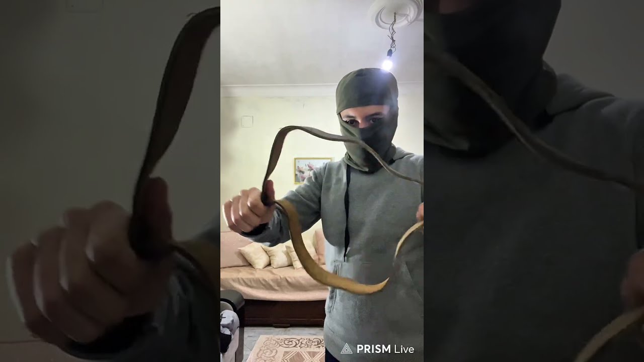 تحدي التخمين : الخاسر ينجلد 🔥