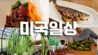 미국 박사 부부의 미국 뉴욕주 정착 생활기 | 텃밭 새로 만들기 | 뒷마당 바베큐 | 장보기 | 뉴욕 주부 일상 브이로그 | 🇰🇷 Korean Mom in US 🇺🇸