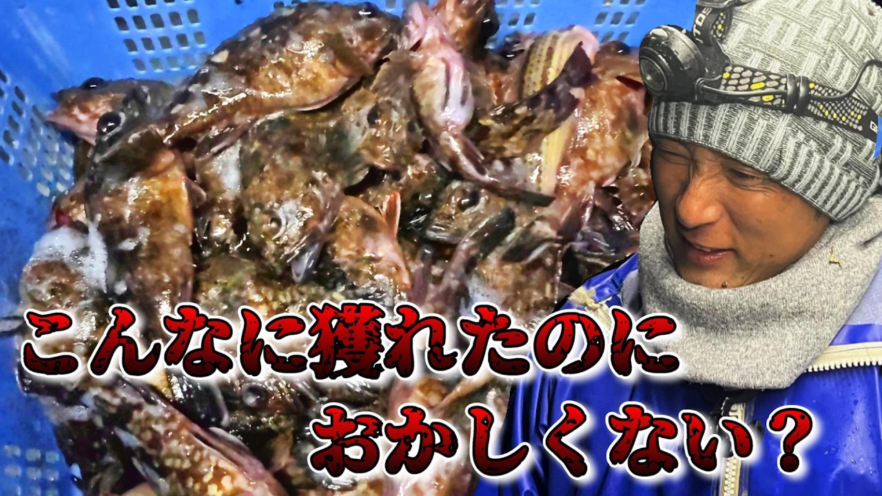 刺網追加で立て直すつもりが...終わりました（金額発表）