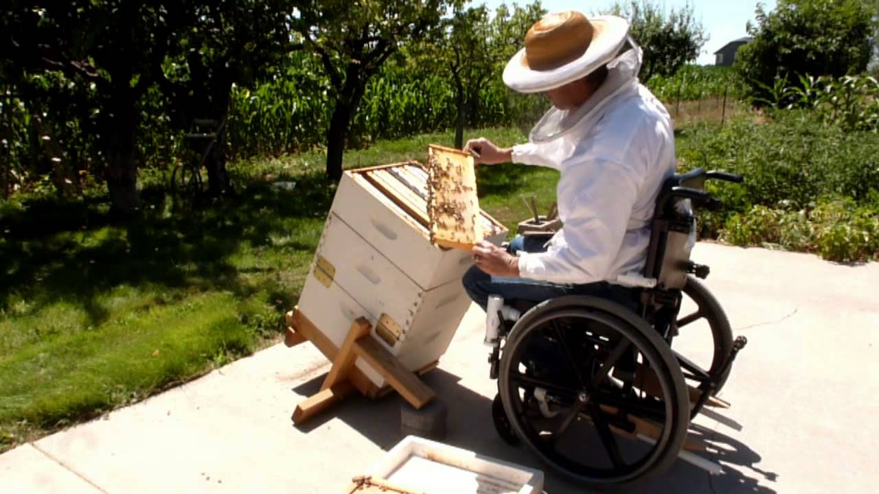 Who can be a Beekeeper