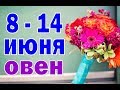 ОВЕН 🌈 неделя с 8 по 14 июня. Таро прогноз гороскоп