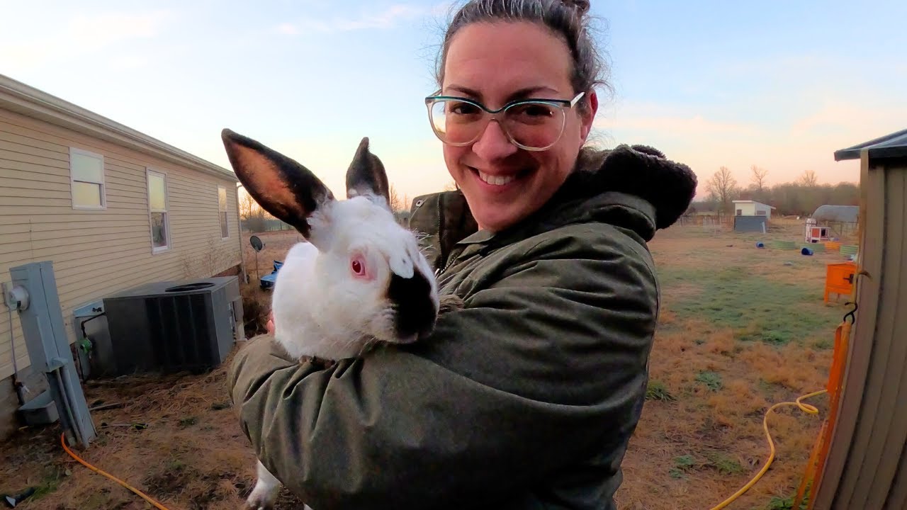 Homestead Life This Week: Dairy Products, Making Bagels, Breeding Rabbits & Prepping for Ice!! 
