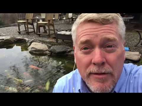 Koi Pond Water Garden Lopatcong NJ by Full Service Aquatics