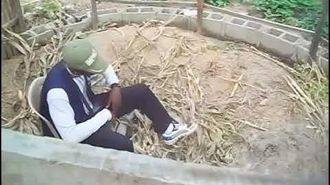 Alarm clock - Burna boy [official music video]