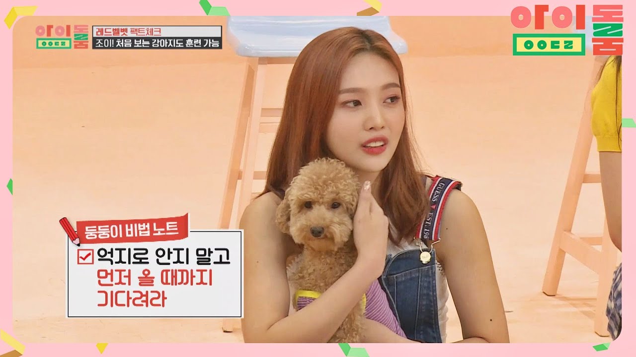 조련왕 조이(JOY)와 댕댕이의 수준급 교감은 Love♡ 아이돌룸(idolroom) Ep.15 | JTBC 180814 방송