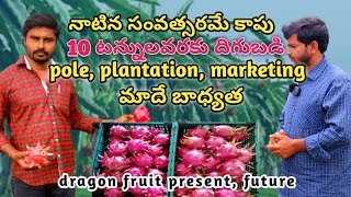 తక్కువ మెయింటెనెన్స్ కలిగిన ఏకైక పండ్ల తోట || dragon fruit farming and maintenance by PLEASE SAVE FARMERS 118,957 views 10 months ago 13 minutes, 55 seconds