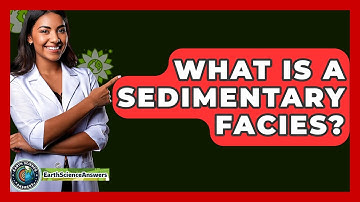 What Is A Sedimentary Facies? - Earth Science Answers