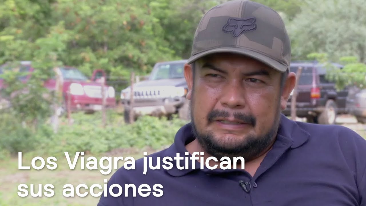 Los Viagra emulan a los Caballeros Templarios en Michoacán - En Punto con  Denise Maerker