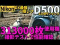 ジャンクカメラ Nikon D500 313,000枚撮影後の状態はどうなるか?2200円で買った最強一眼レフを整備し、ハードに使われたプロ機が寿命の1.5倍を超えたときの状態を、動体撮影でレビュー