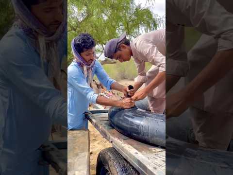 ي ق وم أ خ و ان م ع ا ب ت ع ب ئ ة ال م اء ع ل ى ظ ه ر ال ح م ار ث م ي ر ب ط ان ال ح ب ل