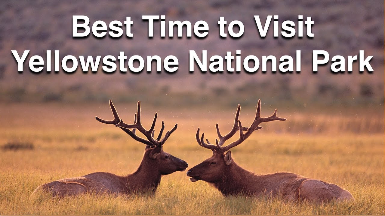 Best Time to Visit Yellowstone National Park Watch this to learn the