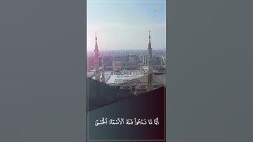 وَلَا تَجْهَرْ بِصَلَاتِكَ || القارئ إدريس أبكر