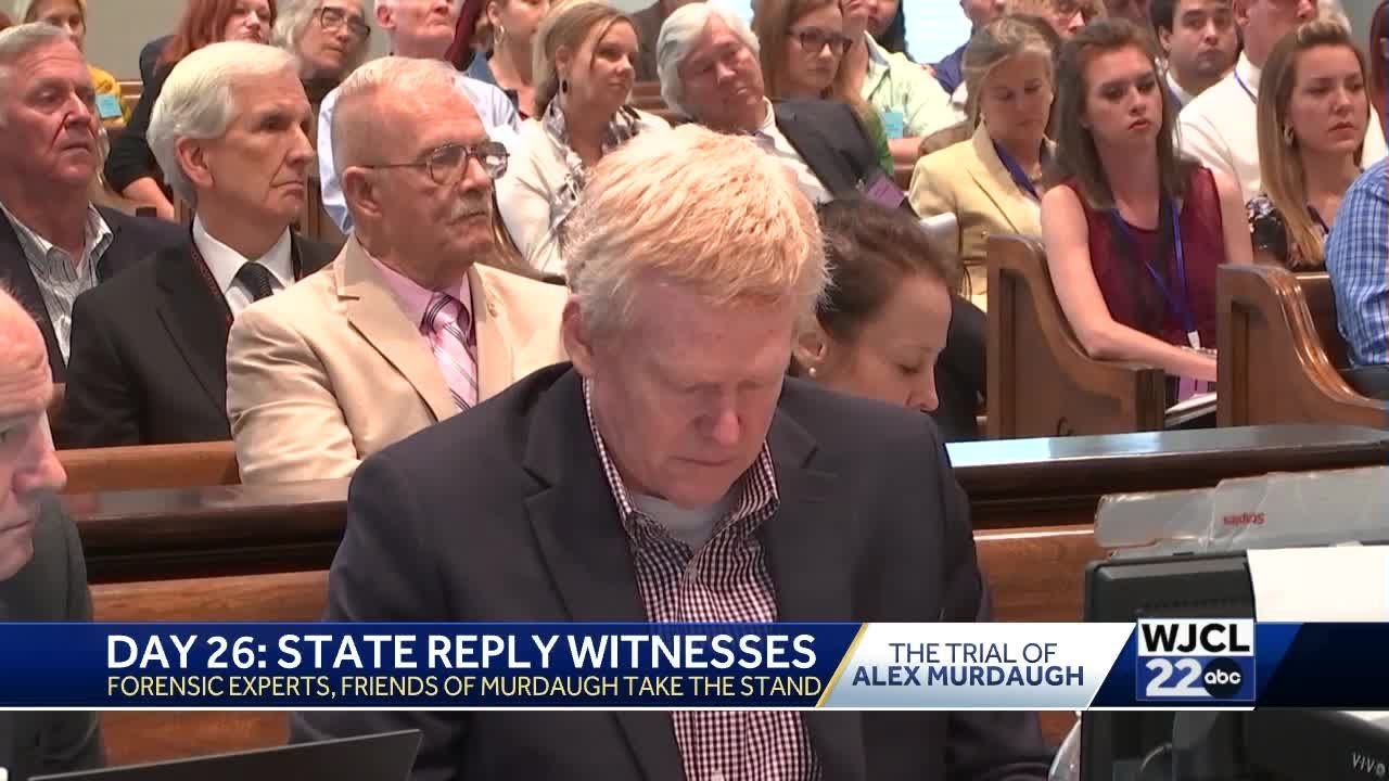 Testimony ends in Alex Murdaugh double murder trial - YouTube