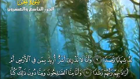 الشيخ يوسف بن نوح السورة الجن