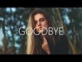 Joss  goodbye lyrics