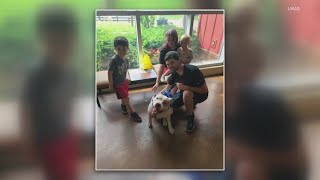 WHAS11 Shelter Star finds his furever home