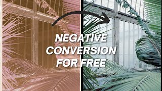Convert Negative Film for Free - The Lomography Digitaliza Lab screenshot 3
