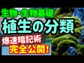 【生物基礎 26】植生【植生の分類】を宇宙一わかりやすく