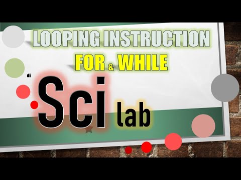 LOOPING INSTRUCTION FOR & WHILE BY SCILAB NIH