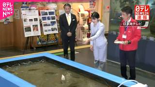 【速報】愛子さま鳥取で｢松葉ガニ｣など展示する水族館訪問 “ヒラメの餌やり”も体験  鳥取県訪問最終日