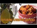 ГОТОВИМ ХЛЕБНОЕ ДЕРЕВО - Джекфрут сабджи