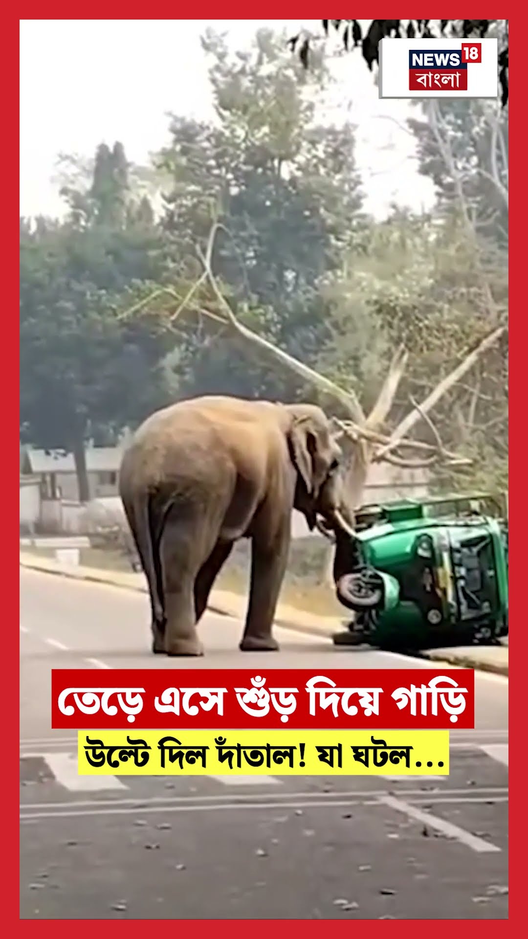 তেড়ে এসে শুঁড় দিয়ে গাড়ি উল্টে দিল Elephant ! যা ঘটল... | N18S | Guwahati | #shorts