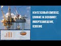 Нефтегазовый комплекс: влияние на экономику, импортозамещение, освоение Арктики, перспективы