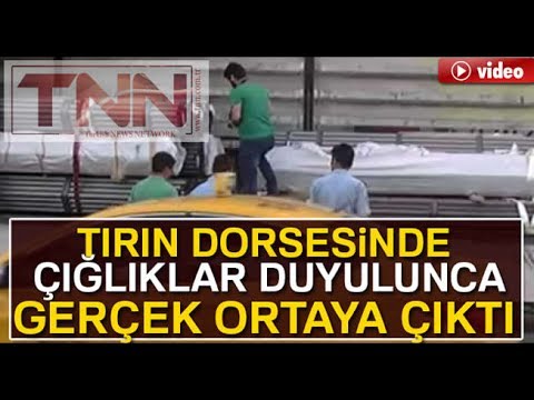 Küçükçekmece'de tırın dorsesinde ağır yaralı 3 mülteci çıktı