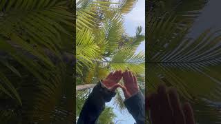 New Earth Activations recorded yesterday