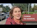 ОСЕННИЙ ИЕРУСАЛИМ. МАМИЛА. 06.11.2020