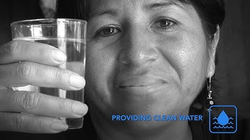 Areas of focus in Rotary